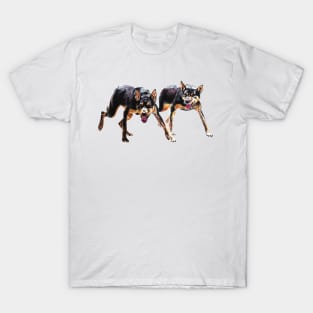 Working kelpie T-Shirt